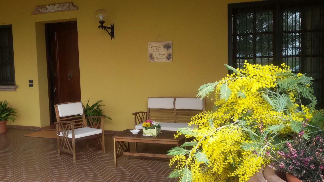 B&B La Vigna Di Federico Рубано Экстерьер фото