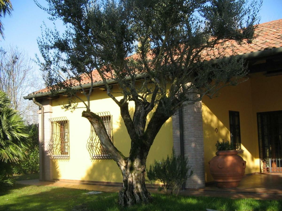 B&B La Vigna Di Federico Рубано Экстерьер фото